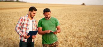 landbouwers controle tablet graan veld