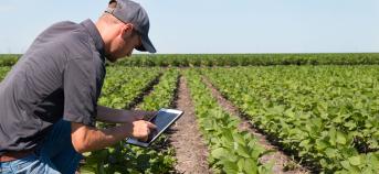 land landbouw innovatie controle tablet smartphone man veld