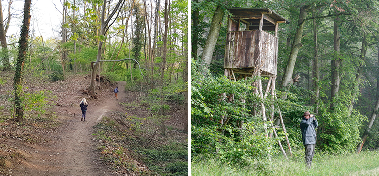 links: foto spelende kinderen in het bos / rechts: jager met verrekijker bij zijn uitkijk hut