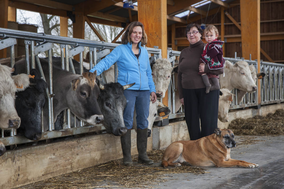 Landbouwsters: moeder- en dochter met kleindochter bij koeien aan voederbak