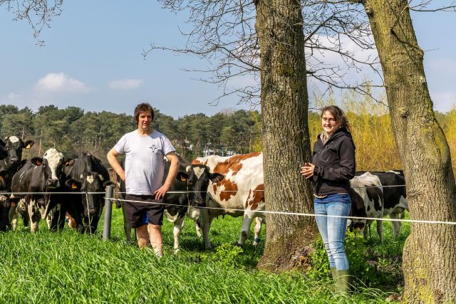 Jan en Joke Willems bij hun koeien op de wei, omzoomd met bomen - Copyrights Dept. Landbouw en Visserij