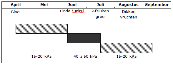 april-mei: bloei (15-20 kPa) | juni-juli: einde junirui (40 à 50 kPa) | juli-augustus: afsluiten groei (15-20 kPa) | augustus-september: dikken vruchten