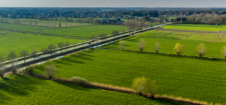 landschapsfoto met groene weides en dorpskern in de verte, Oost-Vlaanderen