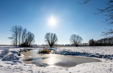 Winterlandschap met sneeuw, bevroren water, bomen en zon