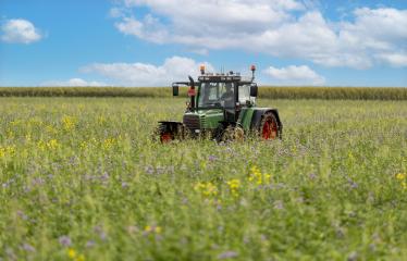 Traktor op het land