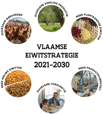 Vlaamse eiwitstratagie 2021-2030