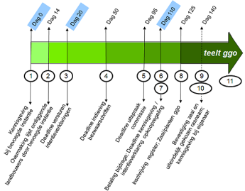 Tijdslijn aanvraag (toelichting in tekst hierna)