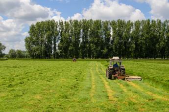 Tractor die weide maait