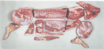 Opdeling van een karkas volgens de partiële versnijding. Ham (1); Lende (2); Spiering (3); Kop en keelstuk (4); Voorschenkel (5); Achterschenkel (6); Haas (7); Schouder (8); Puntborst (9); Buik (10); Tepelrand (11); Punt van de buik (12)