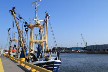 Visserijvaartuig boomkor in haven Oostende