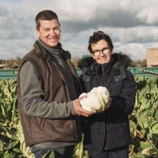 Pieter De Bevere met bloemkool