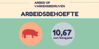 Arbeid op varkensbedrijven Arbeidsbehoefte 10.67 uur per uur per zeug