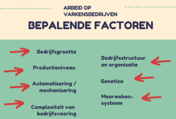 ARBEID OP VARKENSBEDRIJVEN BEPALENDE FACTOREN  Bedrijfsgrootte Productieniveau Automatisering / mechanisering Complexiteit van bedrijfsvoering Bedrijfsstructuur en organisatie Genetica Meerweekensysteem