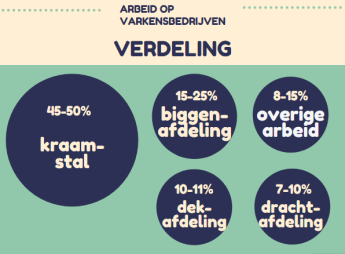 ARBEID OP VARKENSBEDRIJVEN VERDELING  45-50%: Kraamstal 15-25%: Biggenafdeling 10-11%: Dekafdeling 7-10%: Drachtafdeling 8-15%: Overige arbeid