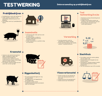 Schema testwerking tool varkens ILVO