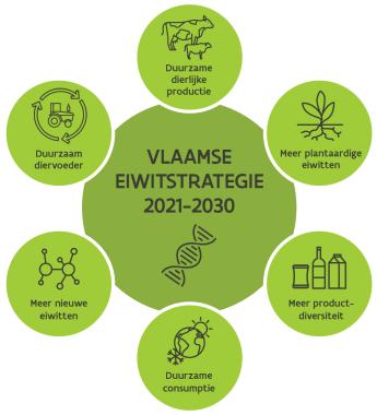Eiwitstrategie figuur infographic 2025
