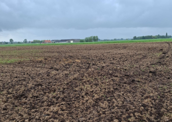 Ondergewerkte resten mest op akker