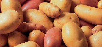 aardappelen stapel