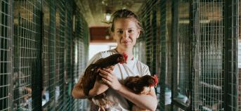 landbouwer vrouw kippen hok stal