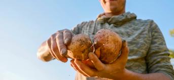 landbouwer aardappelen hand