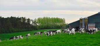 Landbouw bedrijf koeien veld citerne
