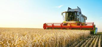 graan veld tractor oogst zon