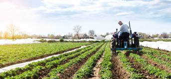 landbouwer boer veld tractor zon aardappelen