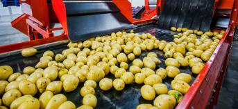 aardappelen industrie band 