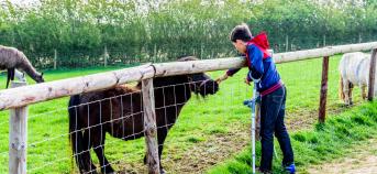 Zorgboerderij kind paard voederen wei