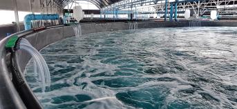 waterzuivering water hangar zuiver