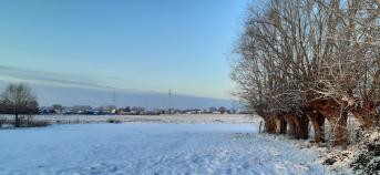 Winterlandschap wilgen 2