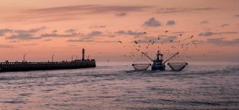 vissersboot Nieuwpoort netten Noordzee pier