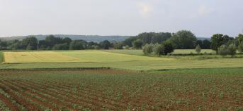 Landbouwlandschap