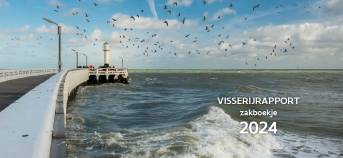 Nieuwpoort pier - cover VIRA 2024