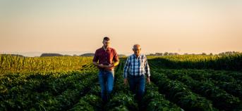 veld boeren jong oud generatiewissel zonsondergang