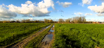 Akker met veel regenwater