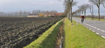 Bufferstrook landschap 