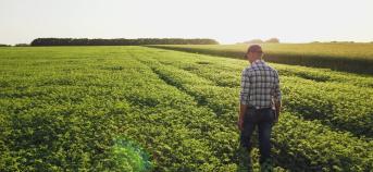 landbouwer op veld bij zonsondergang