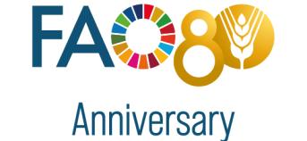 FAO80 logo