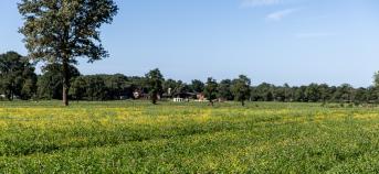 Akkers omzoomd met bomen