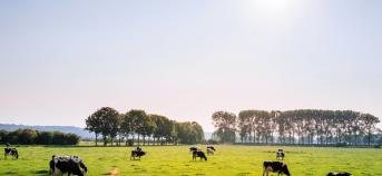 Voedsel: Vlaamse quinoa, boer en burger dicht bij elkaar en aandacht voor lokaal: minister Crevits werkt voedselstrategie uit